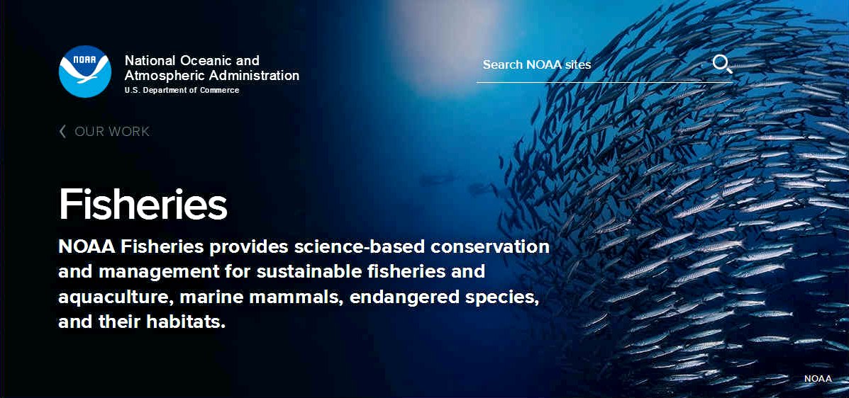 NOAA fisheries conservation and management