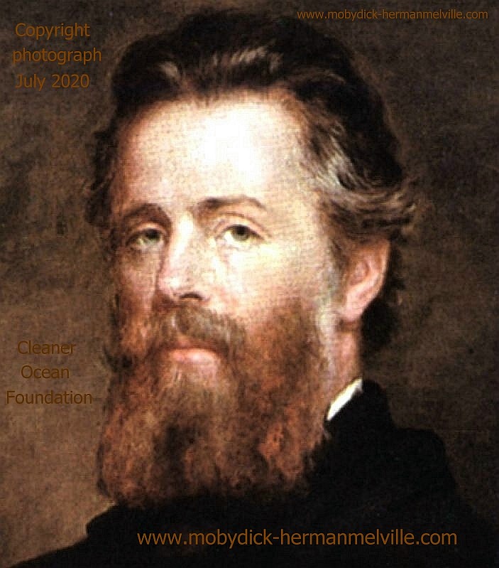 Portrait of Herman Melville, author of Moby Dick in 1850
