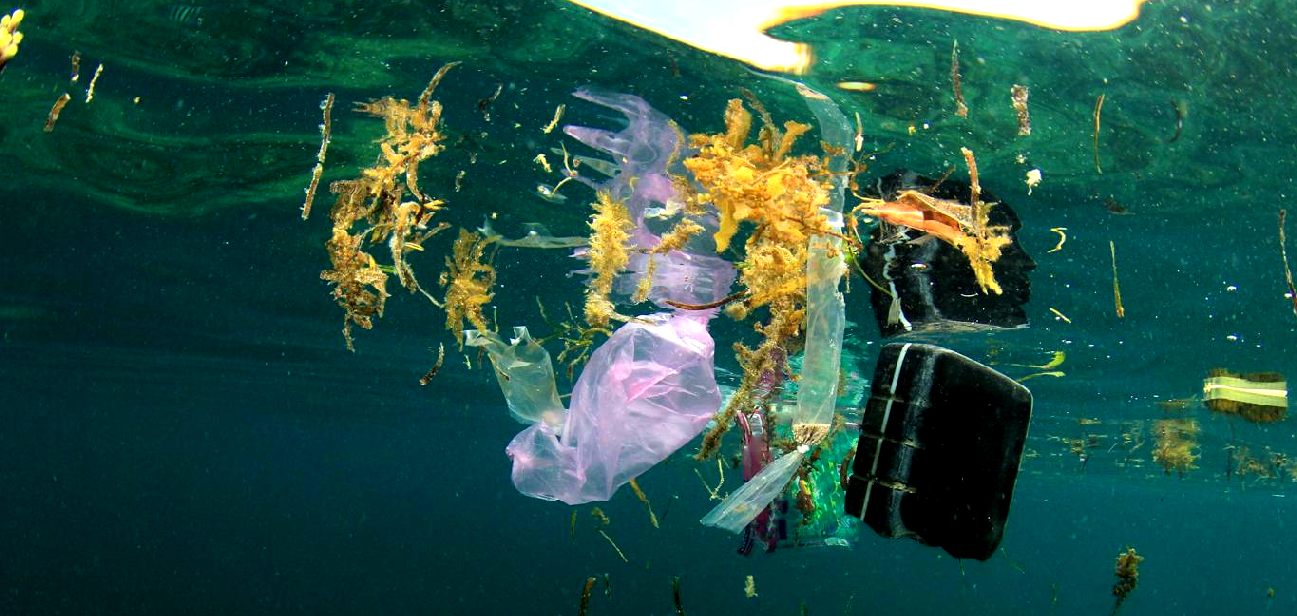 Marine litter underwater plastic debris