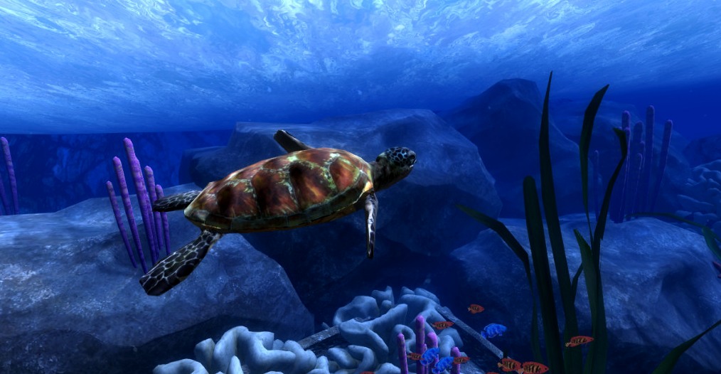 Virtual reality turtle underwater scene