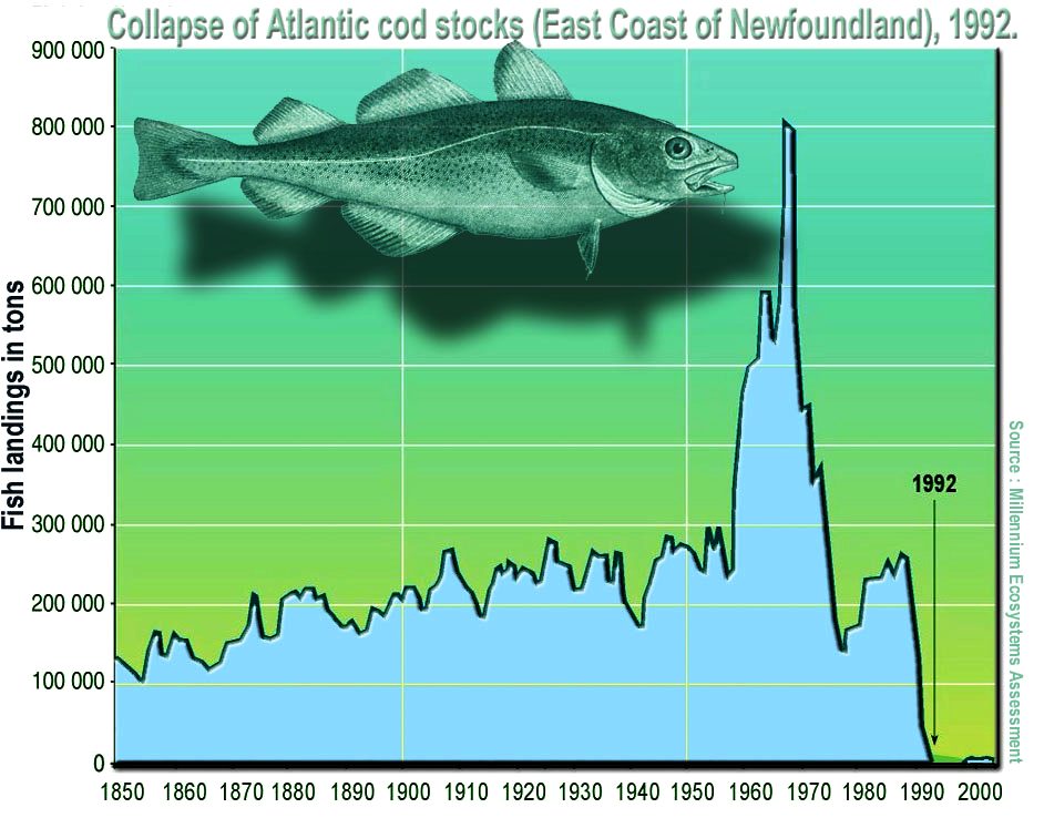 Overfishing and Eumatric fishing