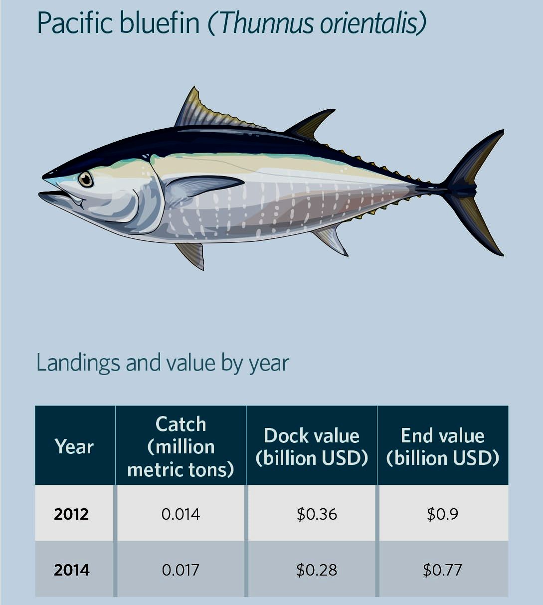 Bluefin Tuna Price Per Pound 2025 - Nady Maighdiln