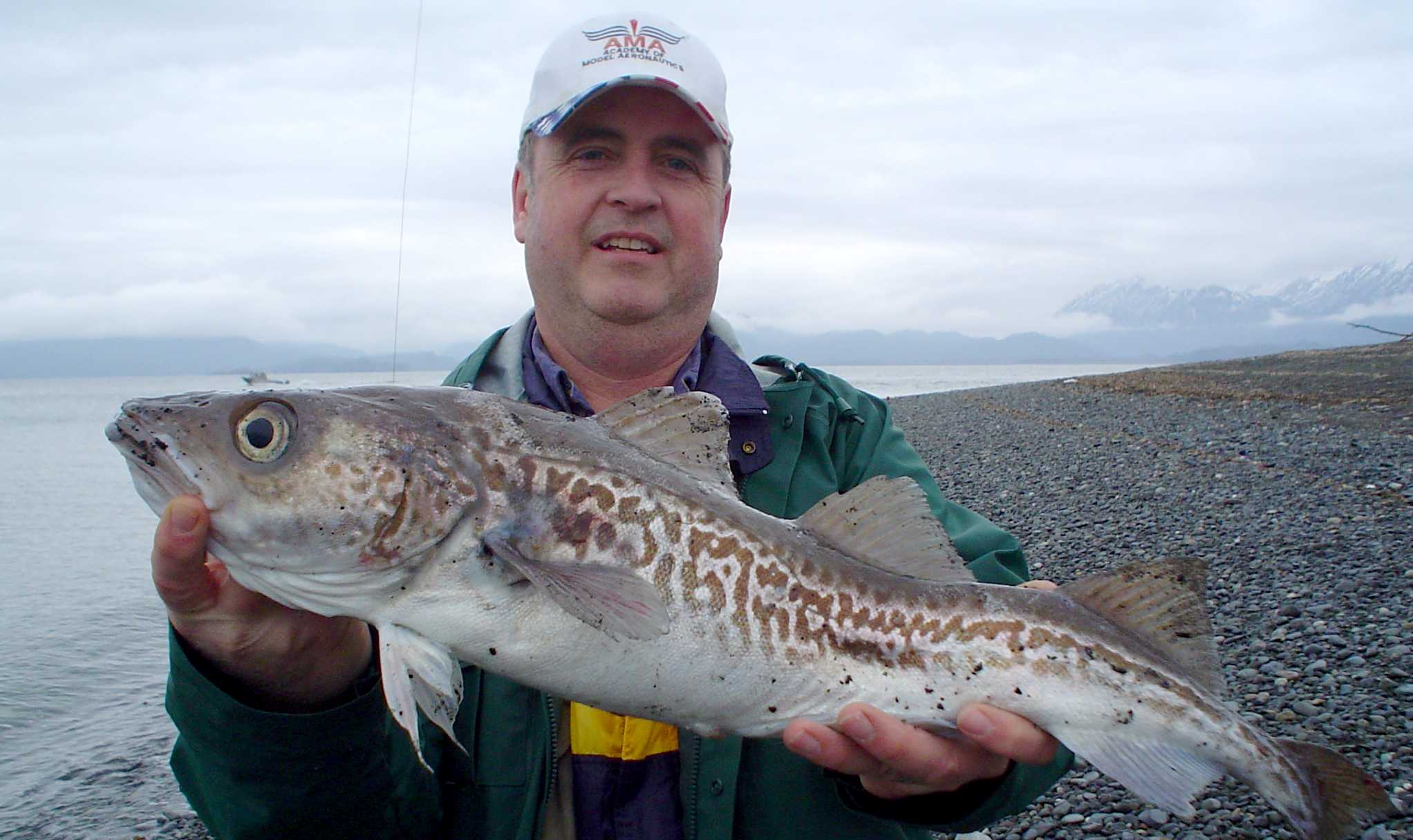 Alaska deals pollock fish