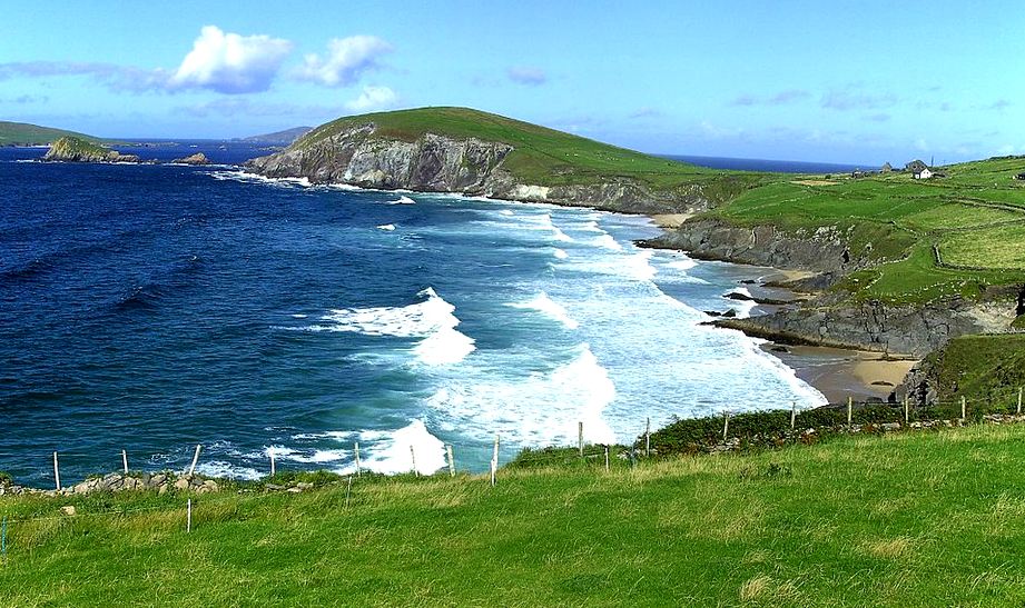 Two Less Fish in Sea -  Ireland