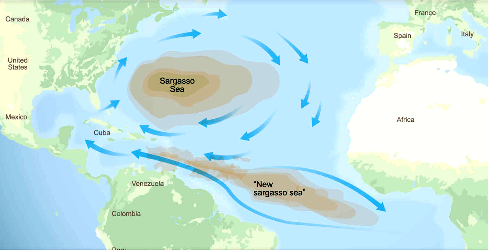 Map of the Sargasso and New Sargasso seas in the North and Equatorial Atlantic