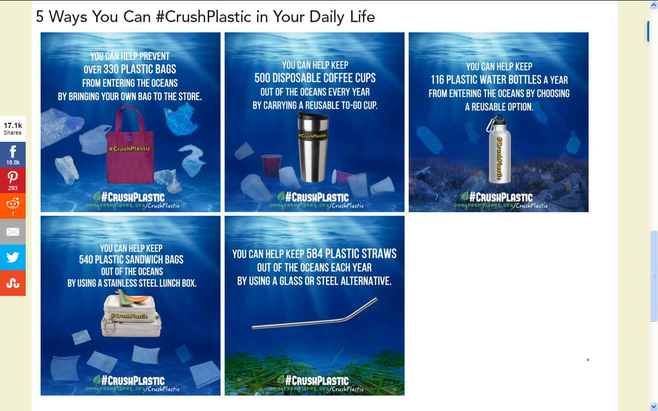 You Can Help Keep 116 Plastic Water Bottles Out of the Oceans Every Year  With One Small Swap - One Green Planet