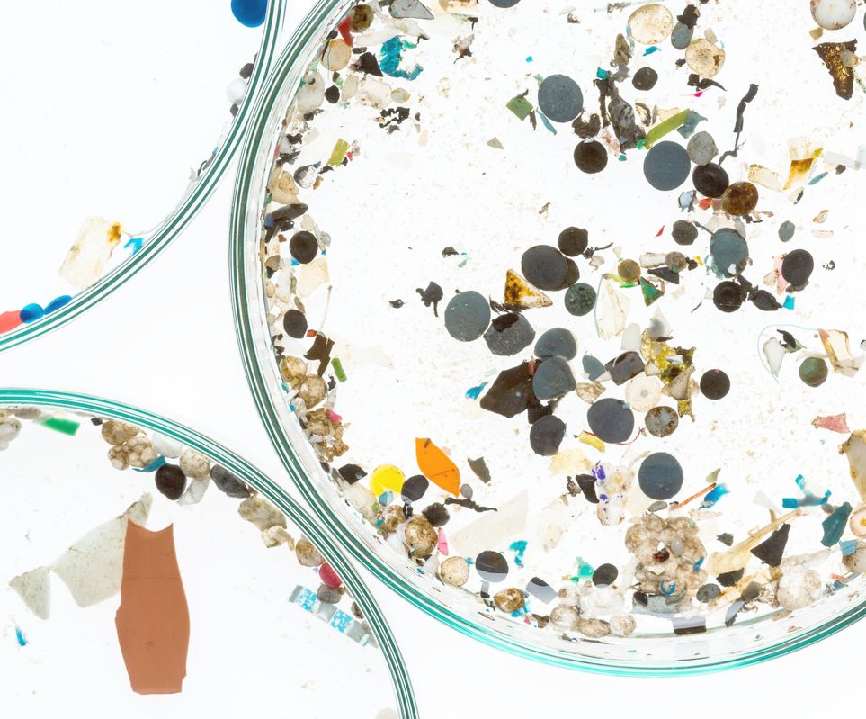 Microplastic beads from a German river