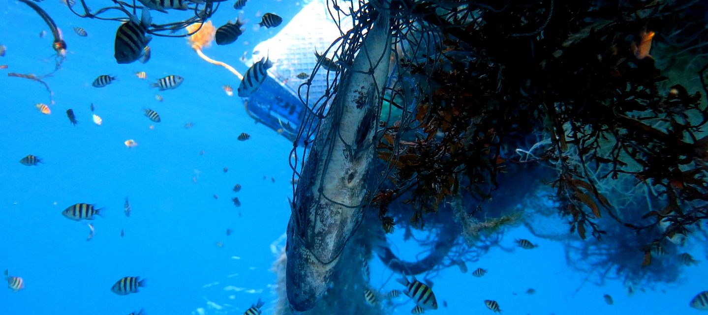 Fish Nets And Various Plastic Recipients Used By The Fishermen Like  Floaters Helping To Point The Nets In The Sea Pier Of Fishermen Boats At  Capraia Island, Italy Stock Photo, Picture and