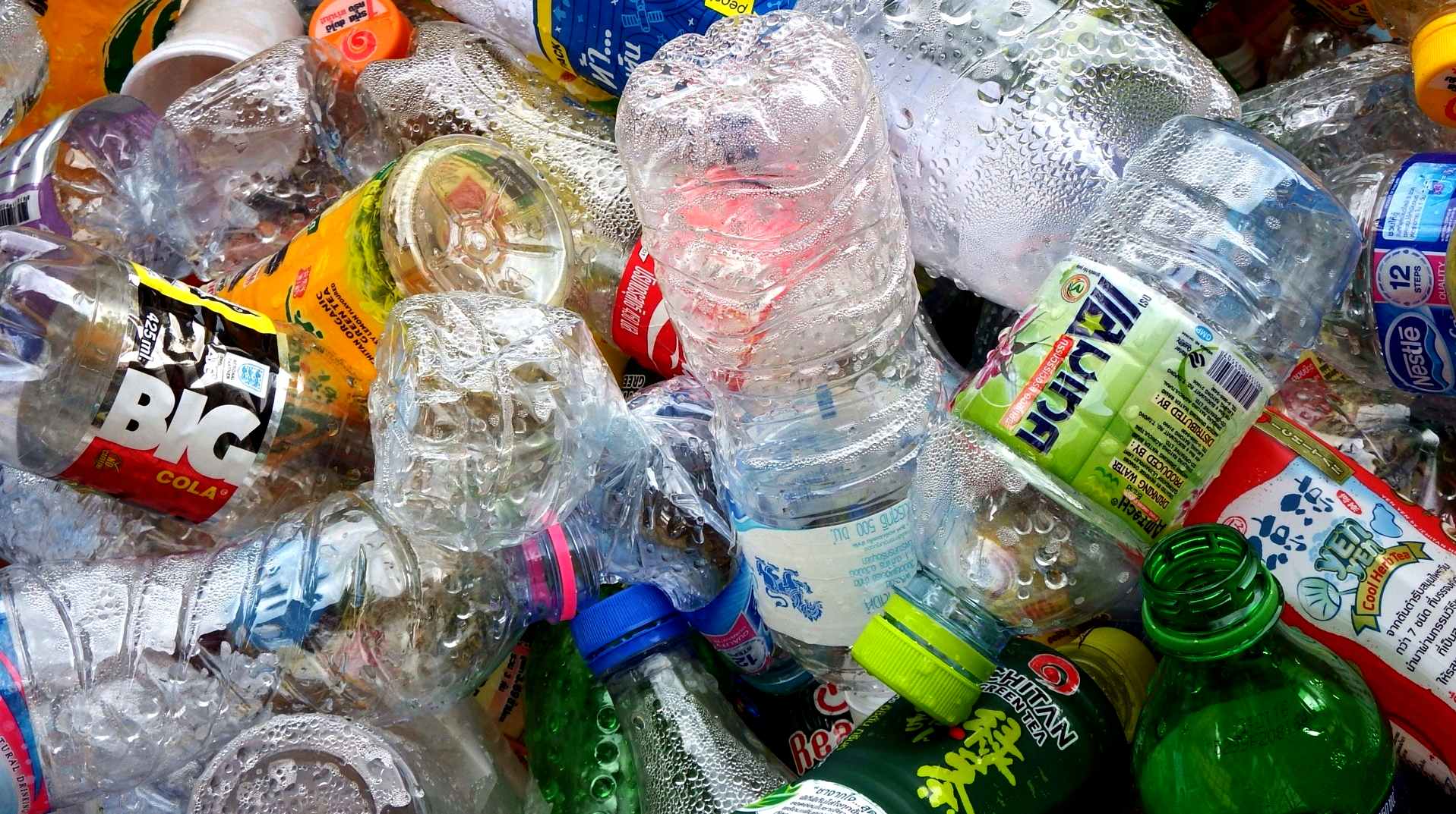 Almost no plastic bottles get recycled into new bottles