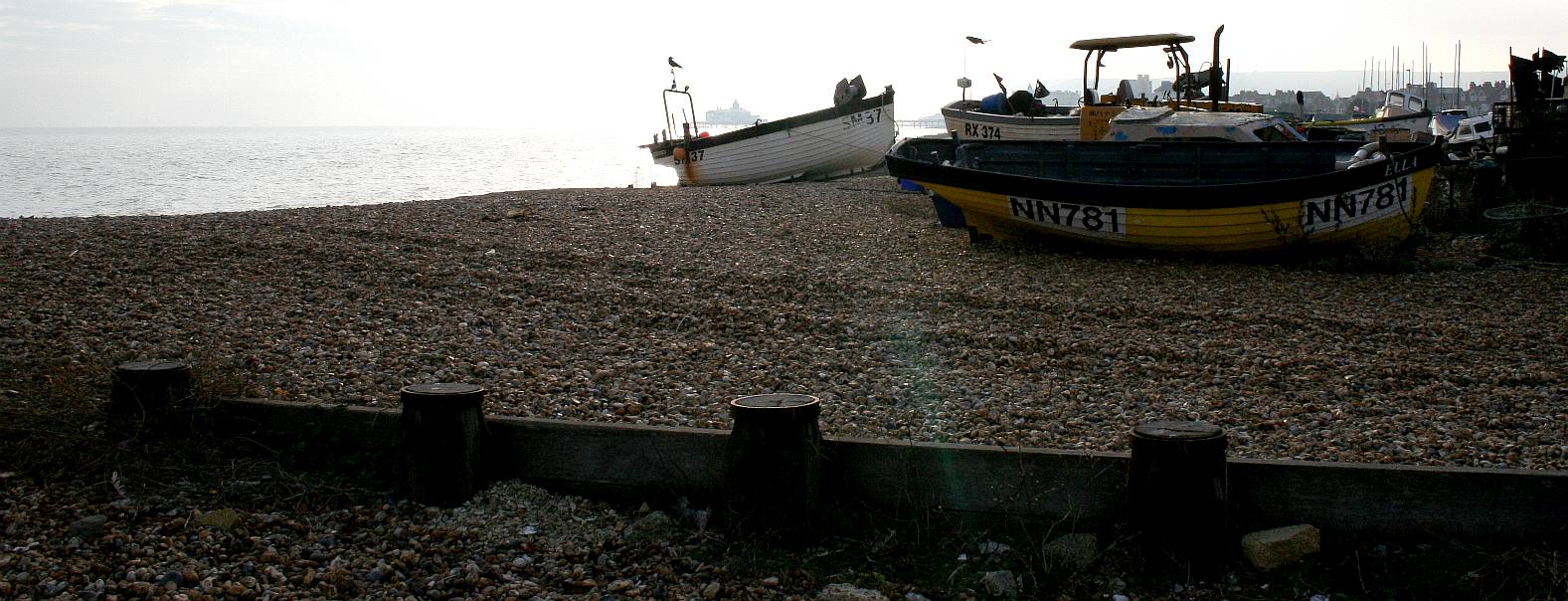 Eastbourne marine parade is an underused resource in terms of food security and blue growth